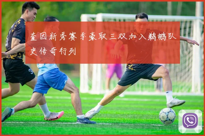 奎因新秀赛季豪取三双加入鹈鹕队史传奇行列