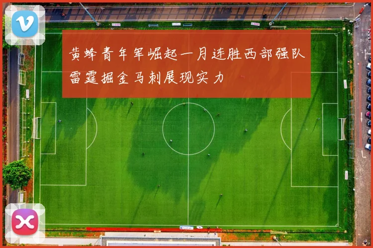 黄蜂青年军崛起一月连胜西部强队雷霆掘金马刺展现实力